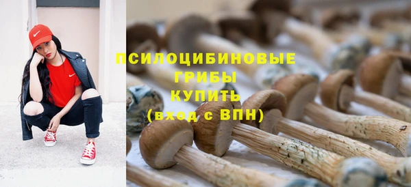 а пвп мука Володарск