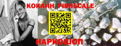 стафф Гатчина