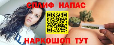 стафф Гатчина