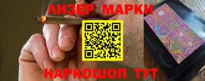 стафф Гатчина