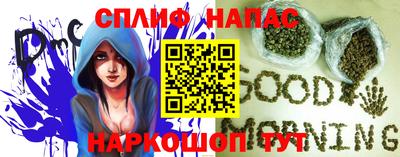 стафф Гатчина